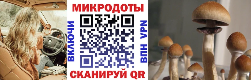 Галлюциногенные грибы прущие грибы  mega онион  Кондопога 