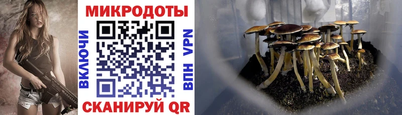 Галлюциногенные грибы мухоморы Кондопога